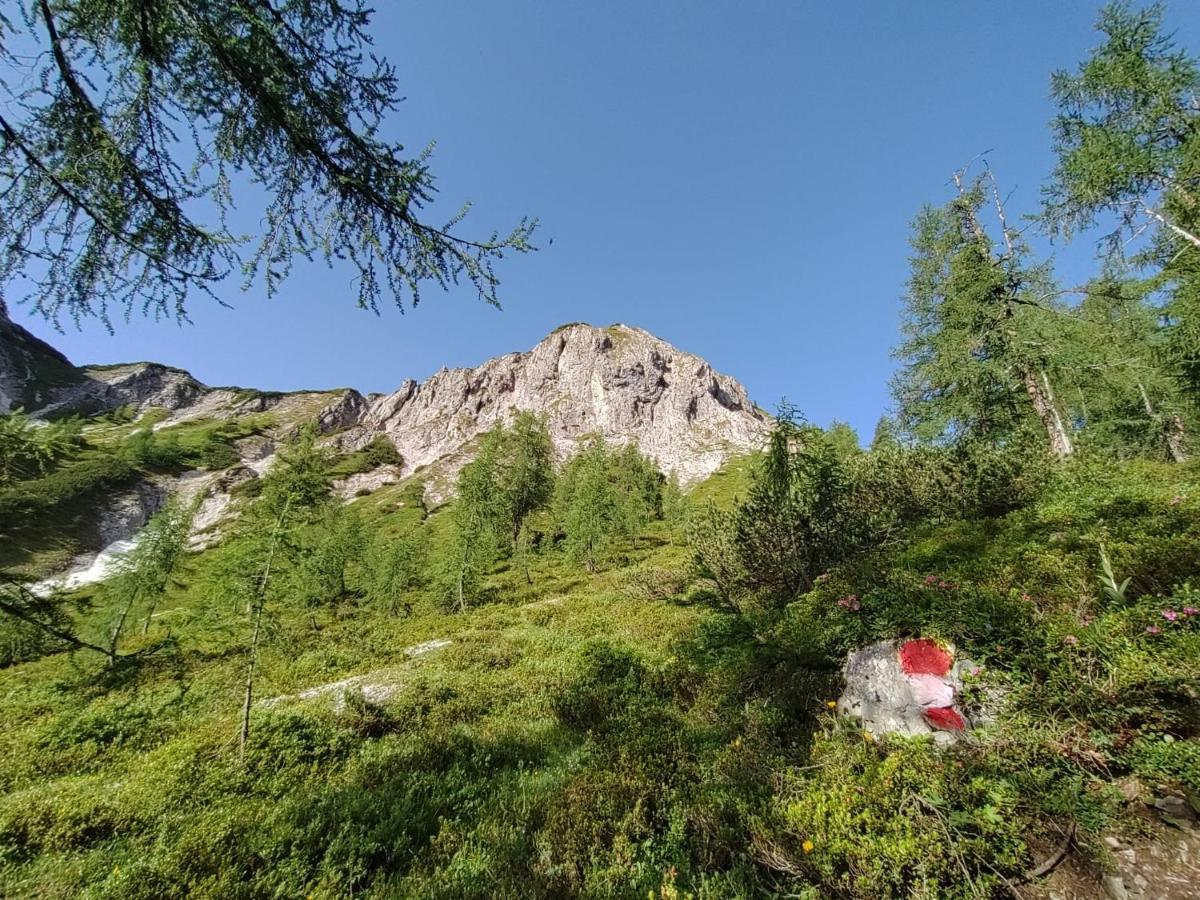 Firstpeak Chalets Zauchensee Exterior foto
